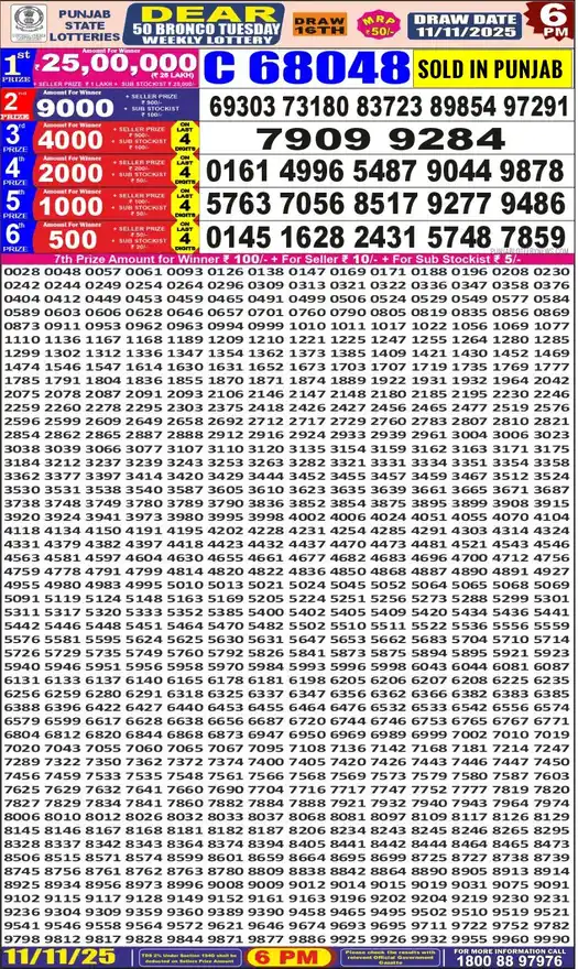 Punjab State Dear 50 Bronco Tuesday lottery result 11.11.2025