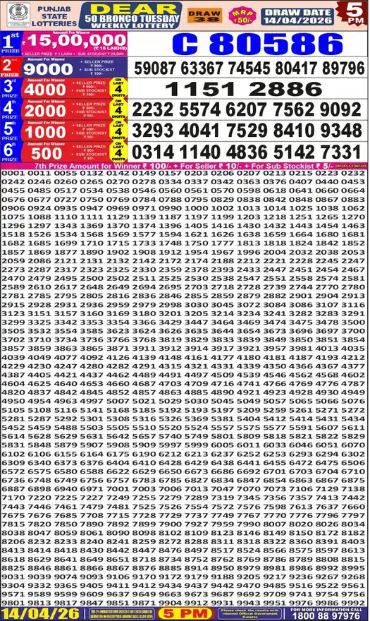 Punjab State Dear 50 Bronco Tuesday lottery result 14.04.2026