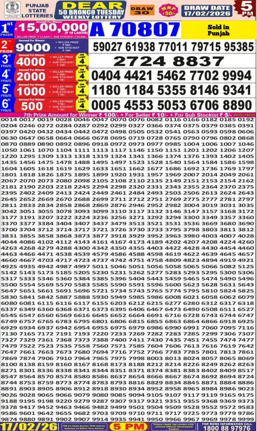 Punjab State Dear 50 Bronco Tuesday lottery result 17.02.2026