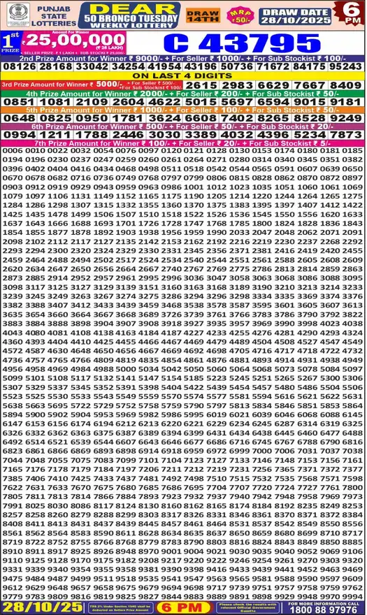 Punjab State Dear 50 Bronco Tuesday lottery result 28.10.2025