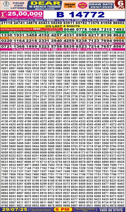 Punjab State Dear 50 Bronco Tuesday lottery result 29.07.2025