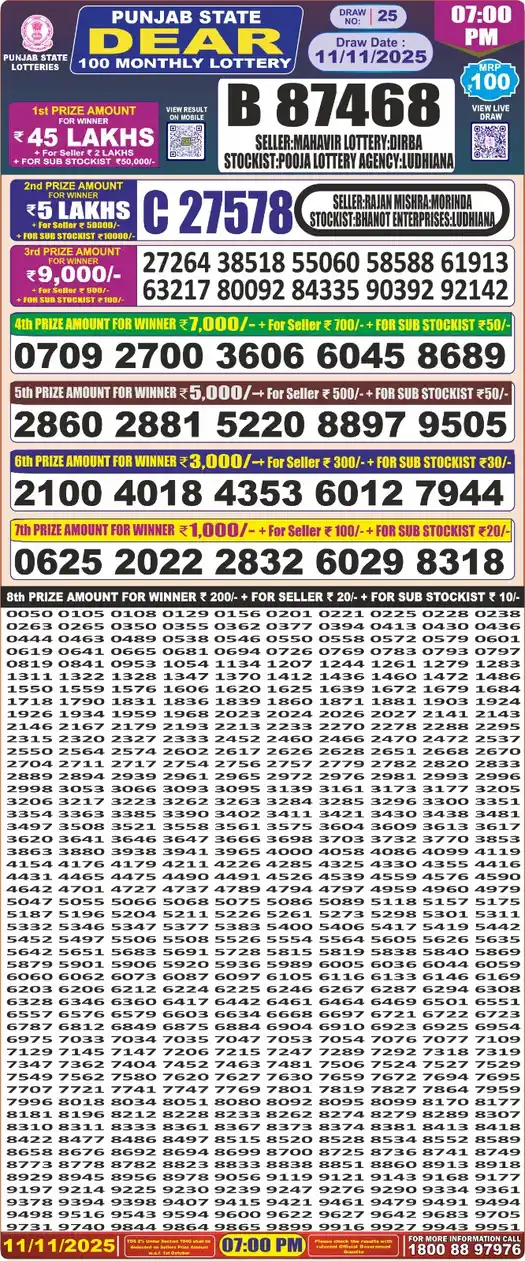 Punjab State Dear 100 lottery result 11.11.2025