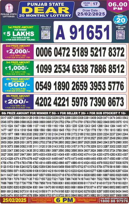 Punjab State Dear 20 lottery result 25.02.2025