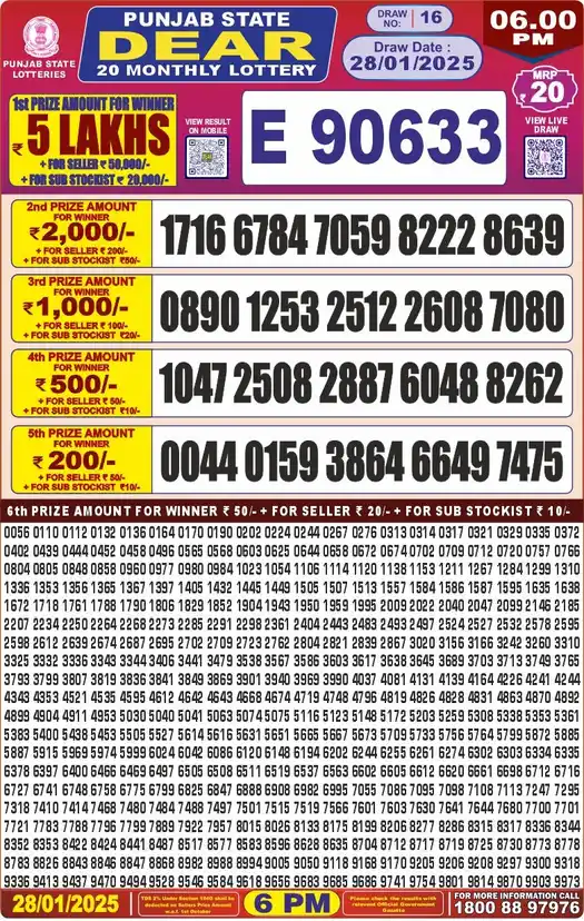 Punjab State Dear 20 lottery result 28.01.2025