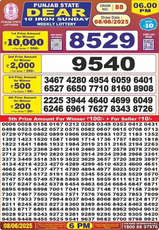 Punjab State Dear 10 Iron Sunday lottery result 08.06.2025